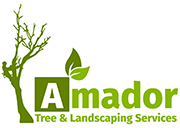 J&M Landmark Construction & Remodeling